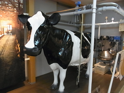 乳を搾っている牛の模型